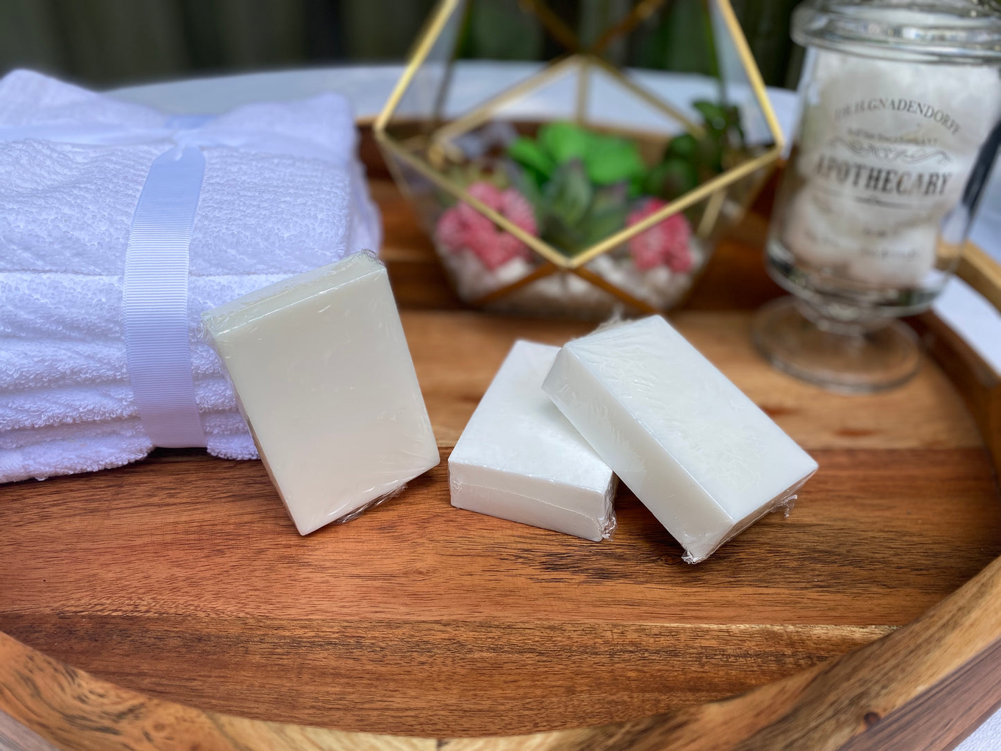 Plant Based Laundry & Dish Soap Bars