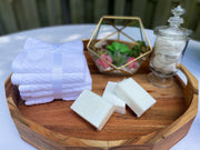 Plant Based Laundry & Dish Soap Bars